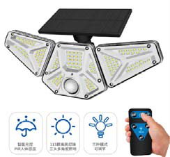 Solar tuinlamp 10W met afstandsbediening